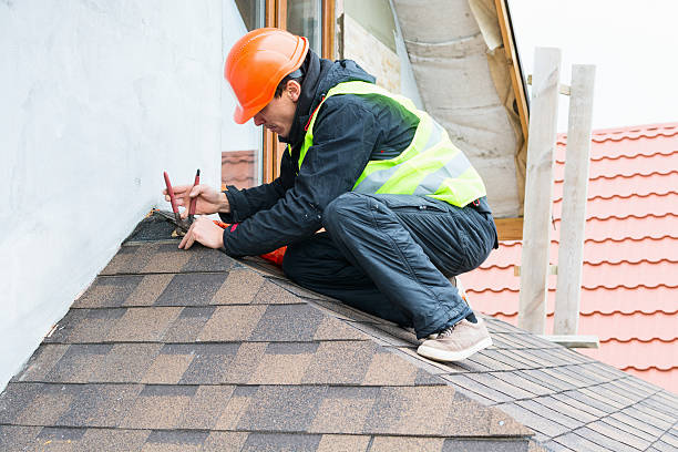 Best Metal Roofing Contractor  in Nevada, MO