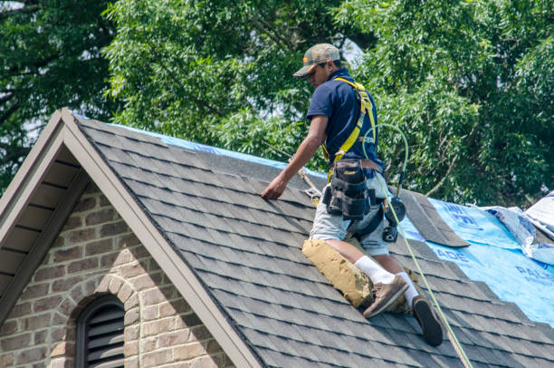 Roof Waterproofing Services in Nevada, MO